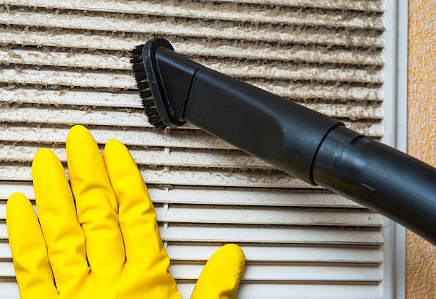 Best Home Air Vent Cleaning  in Roscoe, TX